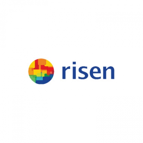 Risen Energy