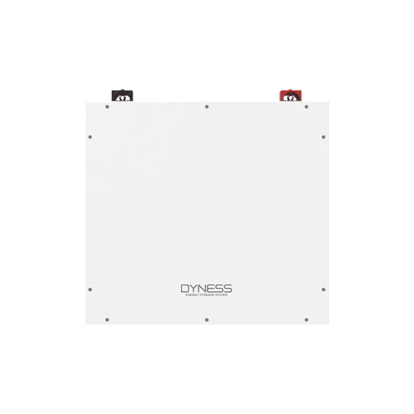 Rivenditore Accumulo Fotovoltaico Dyness 5 kWh