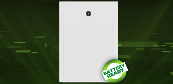 Ingrosso Modulo Gestione Batteria Growatt APX