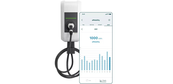 Solarwatt Manager Flex 1.0 - SW-BF-MF