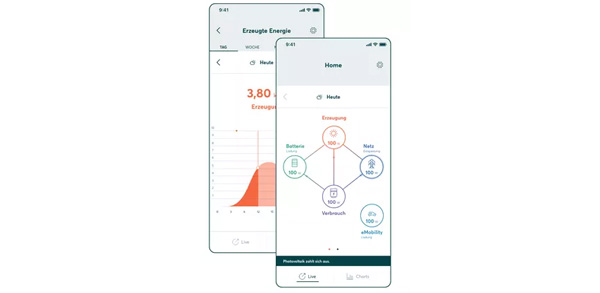 Solarwatt Manager Flex 1.0 - SW BF MF