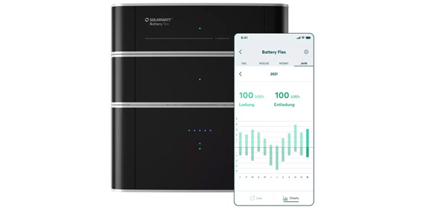 Solarwatt Manager Flex 1.0 - Energy Manager Pro