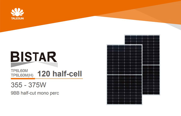 Modulo Fotovoltaico Monocristallino Talesun Solar Bistar TP6L60MH-375W
