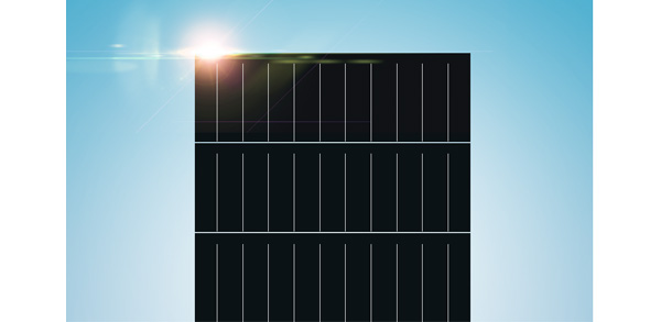 Pannelli Fotovoltaici Trina Solar Vertex S TSM-DE18M.08 510W
